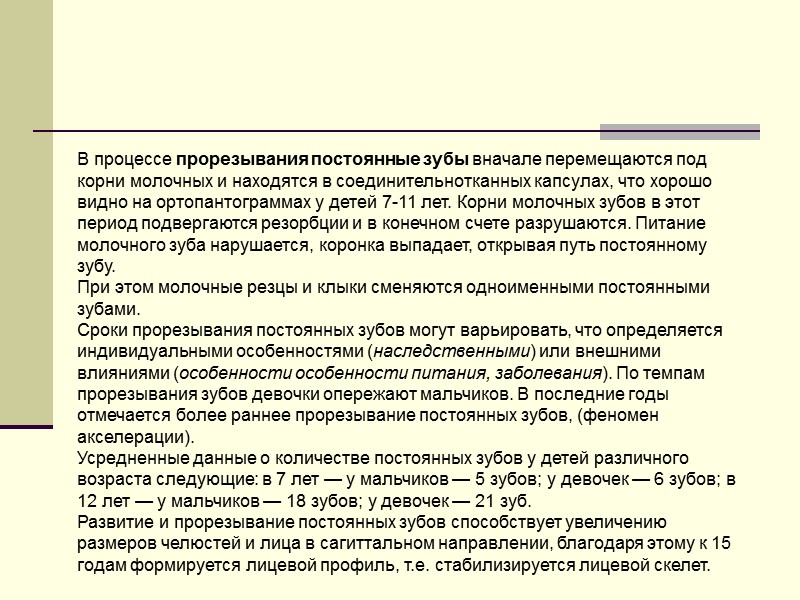 В процессе прорезывания постоянные зубы вначале перемещаются под корни молочных и находятся в соединительнотканных